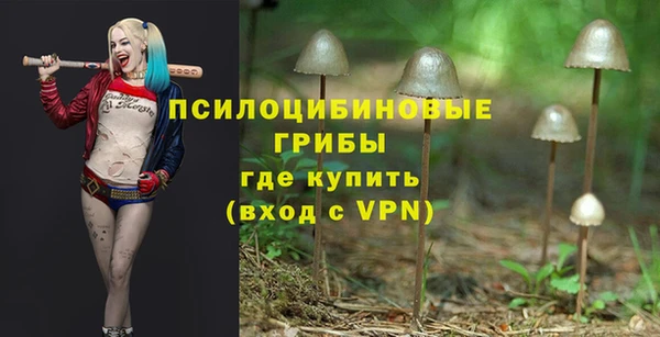 PSILOCYBIN Белокуриха